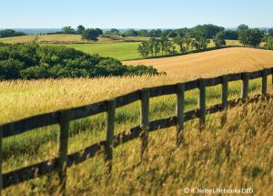 ネブラスカ州 LinkUSA