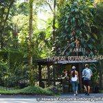 ハワイ熱帯植物園　Hawaii Tropical Botanical Garden