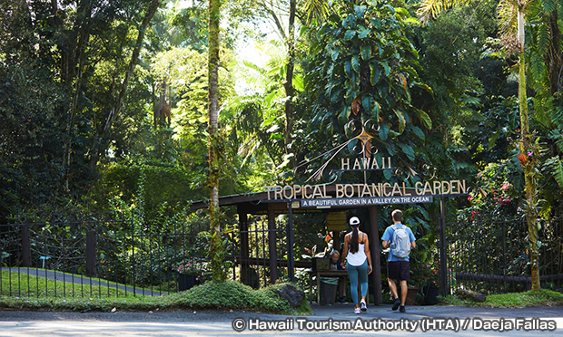 ハワイ熱帯植物園　Hawaii Tropical Botanical Garden