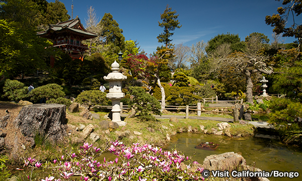 日本庭園　Japanese Tea Garden