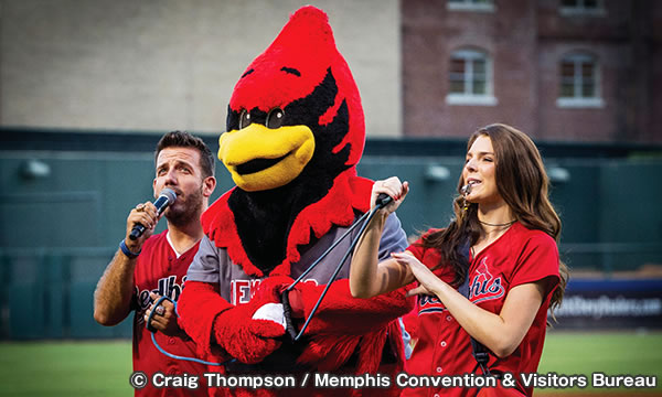 メンフィス・レッドバーズ　Memphis Redbirds