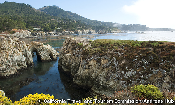ポイント・ロボス　Point Lobos State Reserve