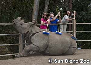サンディエゴ動物園　San Diego Zoo