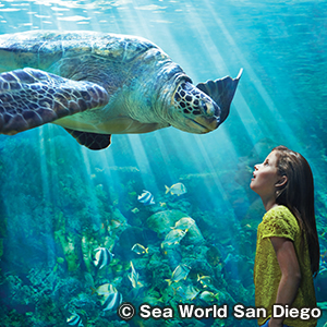 シーワールド サンディエゴ　Sea World San Diego