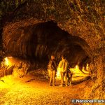 サーストン溶岩洞　Thurston Lava Tube