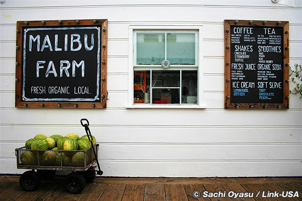 マリブ・ファーム・レストラン　Malibu Farm Restaurant