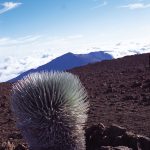 ハレアカラ国立公園 Haleakalā National Park