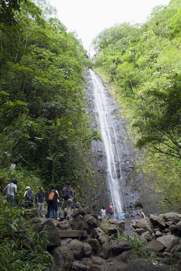 マノアの滝　Manoa Falls