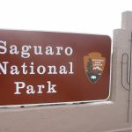 サワロ国立公園　Saguaro National Park