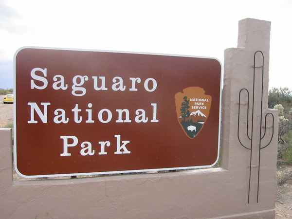 サワロ国立公園　Saguaro National Park