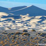 モスキートフラット砂丘　Mesquite Flat Sand Dunes