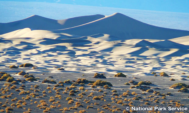 モスキートフラット砂丘　Mesquite Flat Sand Dunes