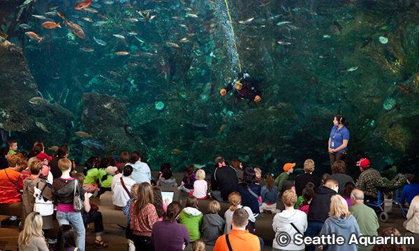シアトル水族館　Seattle Aquarium