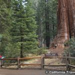 セコイア＆キングスキャニオン国立公園　SEQUOIA & KINGS CANYON National Park