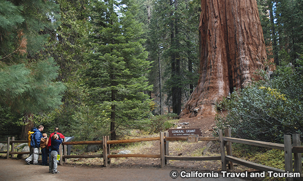 セコイア＆キングスキャニオン国立公園　SEQUOIA & KINGS CANYON National Park