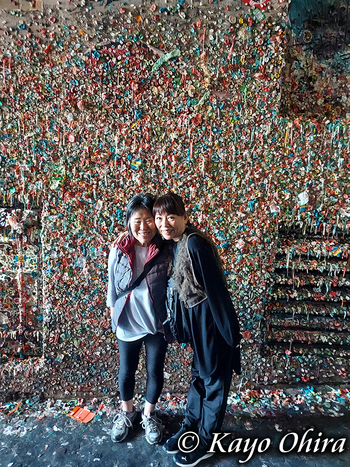 ガム・ウォール（The Gum Wall）