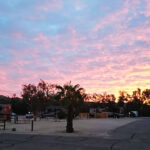 ジョシュアツリー国立公園をドライブ&ウォーク