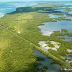 エバーグレーズ国立公園 Everglades National Park