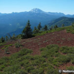 ハークネス山 トレイル Mount Harkness Trail