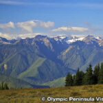 オリンピック国立公園　Olympic National Park