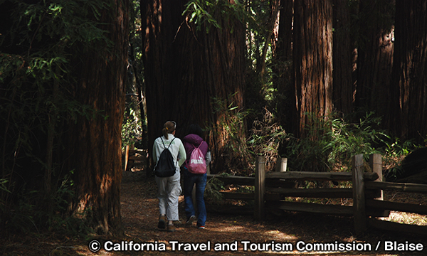 ファイファー・ビッグサー州立公園　Pfeiffer Big Sur State Park