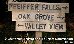 ファイファー・ビッグサー州立公園　Pfeiffer Big Sur State Park
