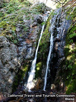 ファイファー・ビッグサー州立公園　Pfeiffer Big Sur State Park