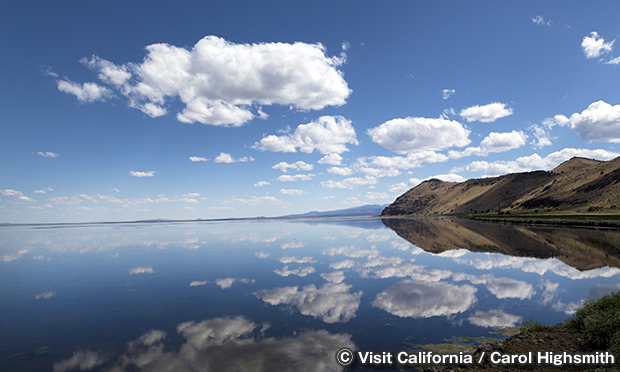 トゥール湖 国立野生生物保護区　Tule lake National Wildlife Refuge