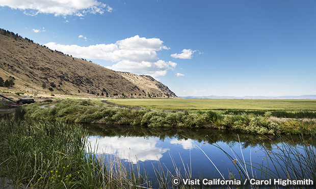 トゥール湖 国立野生生物保護区　Tule lake National Wildlife Refuge