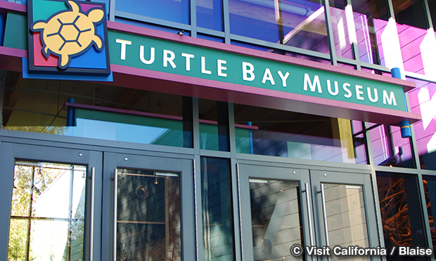 タートル・ベイ・エクスプロレーション・パーク　Turtle Bay Exploration Park