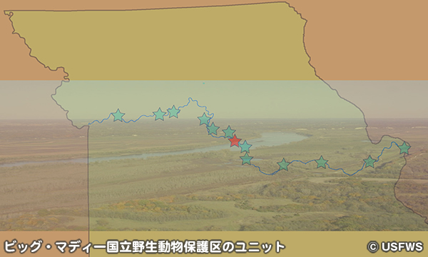 ビッグ・マディー国立野生動物保護区