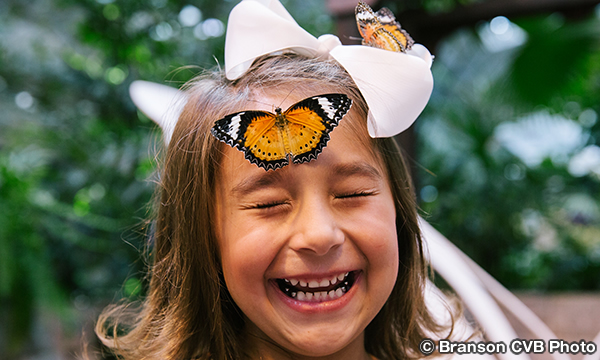 バタフライ・パレス　The Butterfly Palace