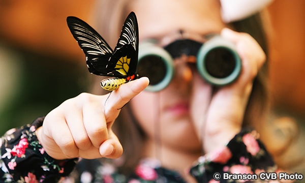 バタフライ・パレス　The Butterfly Palace