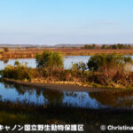 クラランス・キャノン国立野生動物保護区 Clarence Cannon National Wildlife Refuge