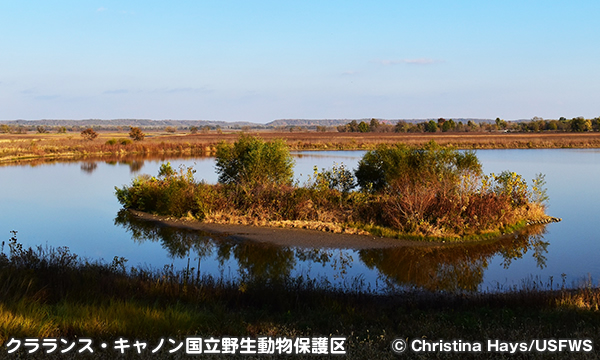 クラランス・キャノン国立野生動物保護区　Clarence Cannon National Wildlife Refuge