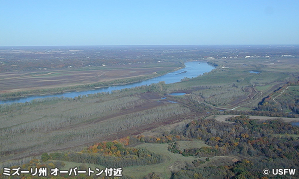 ビッグ・マディー国立野生動物保護区　Big Muddy National Fish and Wildlife Refuge