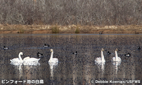 ミンゴ国立野生生物保護区