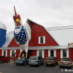 チキン・ハウス The Chicken House