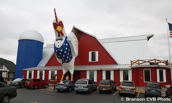 チキン・ハウス　The Chicken House