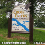クロス・クリークス国立野生動物保護区 Cross Creeks National Wildlife Refuge