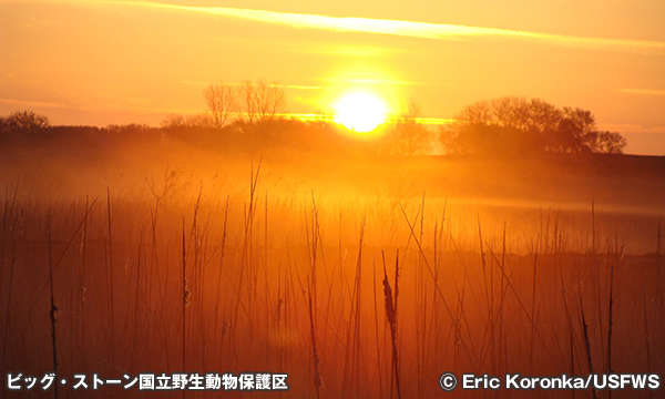 ビッグ・ストーン国立野生動物保護区　Big Stone National Wildlife Refuge