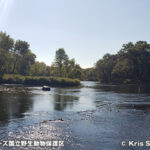 クレーン・メドーズ国立野生動物保護区 Crane Meadows National Wildlife Refuge