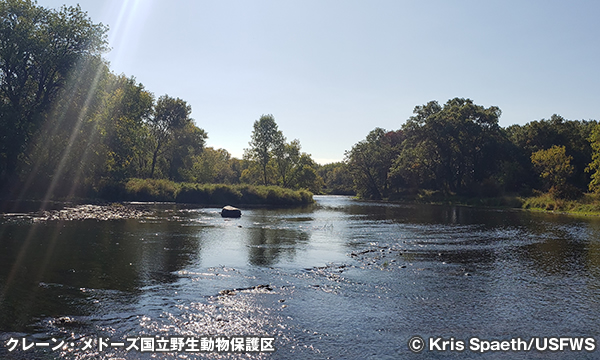 クレーン・メドーズ国立野生動物保護区　Crane Meadows National Wildlife Refuge