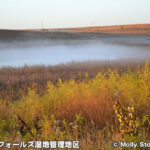 ファーガス・フォールズ湿地管理地区 Fergus Falls Wetland Management District