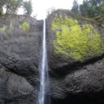 ラトゥーレル滝 Latourell Falls