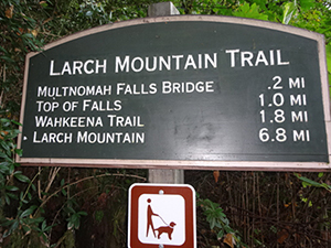 Larch Mountain Trail