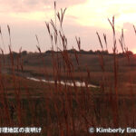 ウィンダム湿地管理地区 Windom Wetland Management District