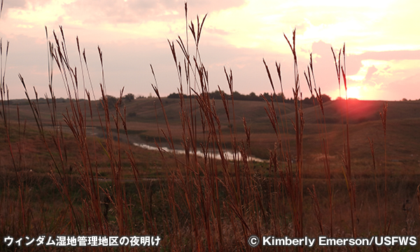ウィンダム湿地管理地区　Windom Wetland Management District