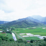 ハナレイ　Hanalei