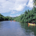 ワイルア川　Wailua River